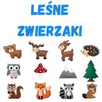 Leśne zwierzaki 12 maskotek